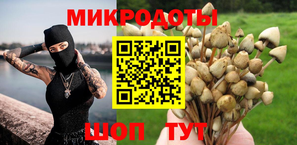 Псилоцибиновые грибы прущие грибы Калининград