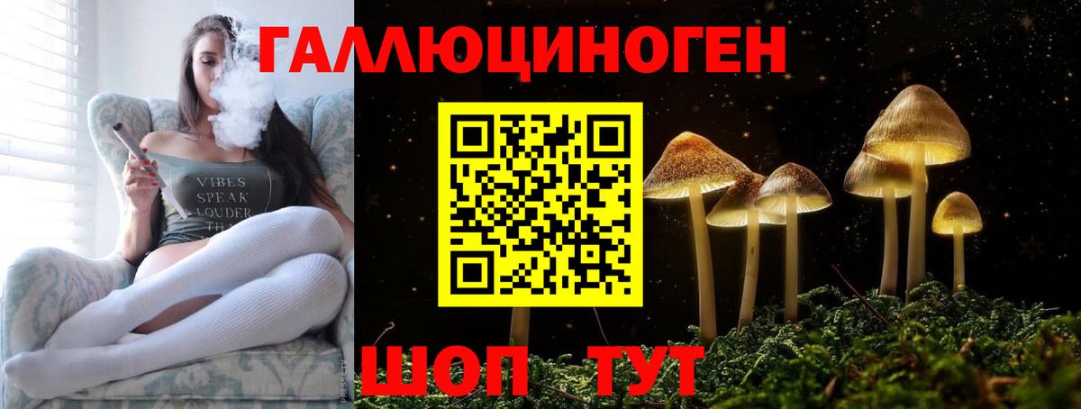Псилоцибиновые грибы Psilocybe  Вход с VPN  Калининград 